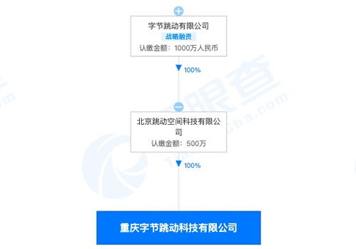 字節(jié)跳動(dòng)跨界布局 重慶子公司經(jīng)營(yíng)范圍新增房地產(chǎn)經(jīng)紀(jì)與技術(shù)咨詢